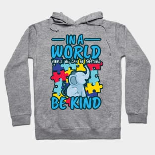 'A World Where You Can Be Anything Be Kind' Kindness Gift Hoodie